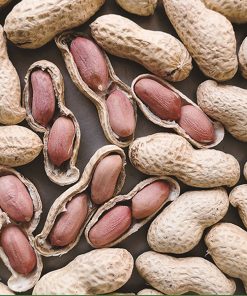 Alternative view of Inshell Peanut Monkey Roasted