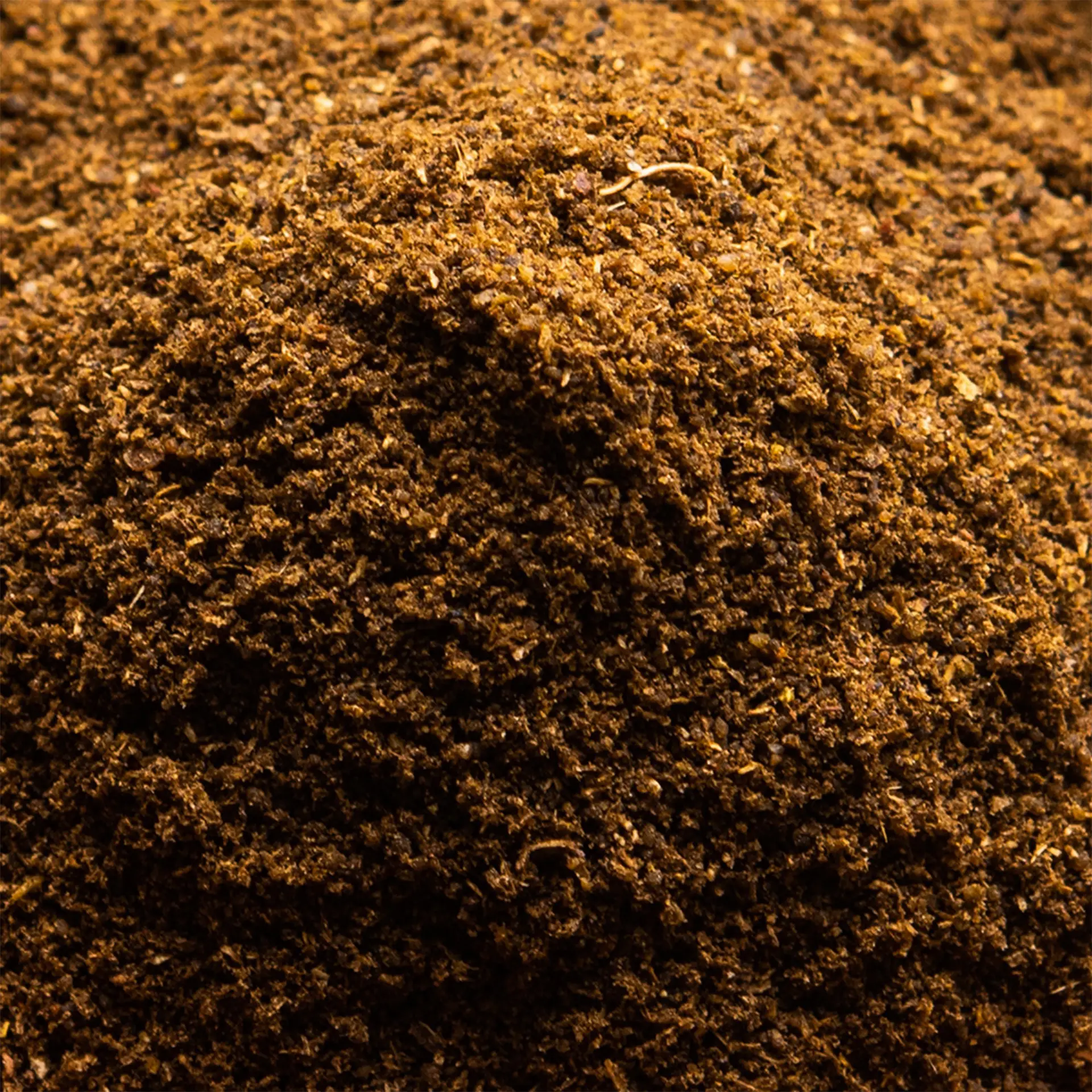 Garam Masala - Image 2