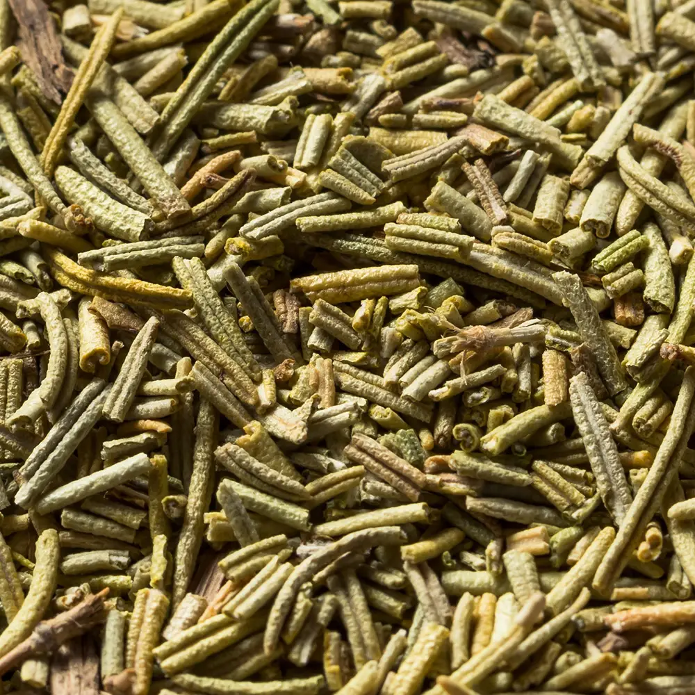 Rosemary - Image 2
