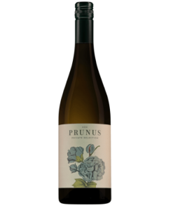 Prunus Blanco DOC Dão
