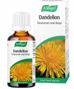 Alternative view of A Vogel Dandelion (Taraxacum) 50ml