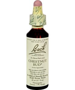 Chestnut Bud Flower Essence 20ml