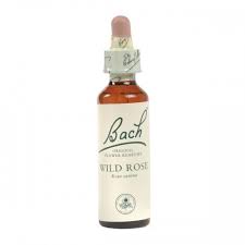 Alternative view of Wild Rose Flower Essence 20ml